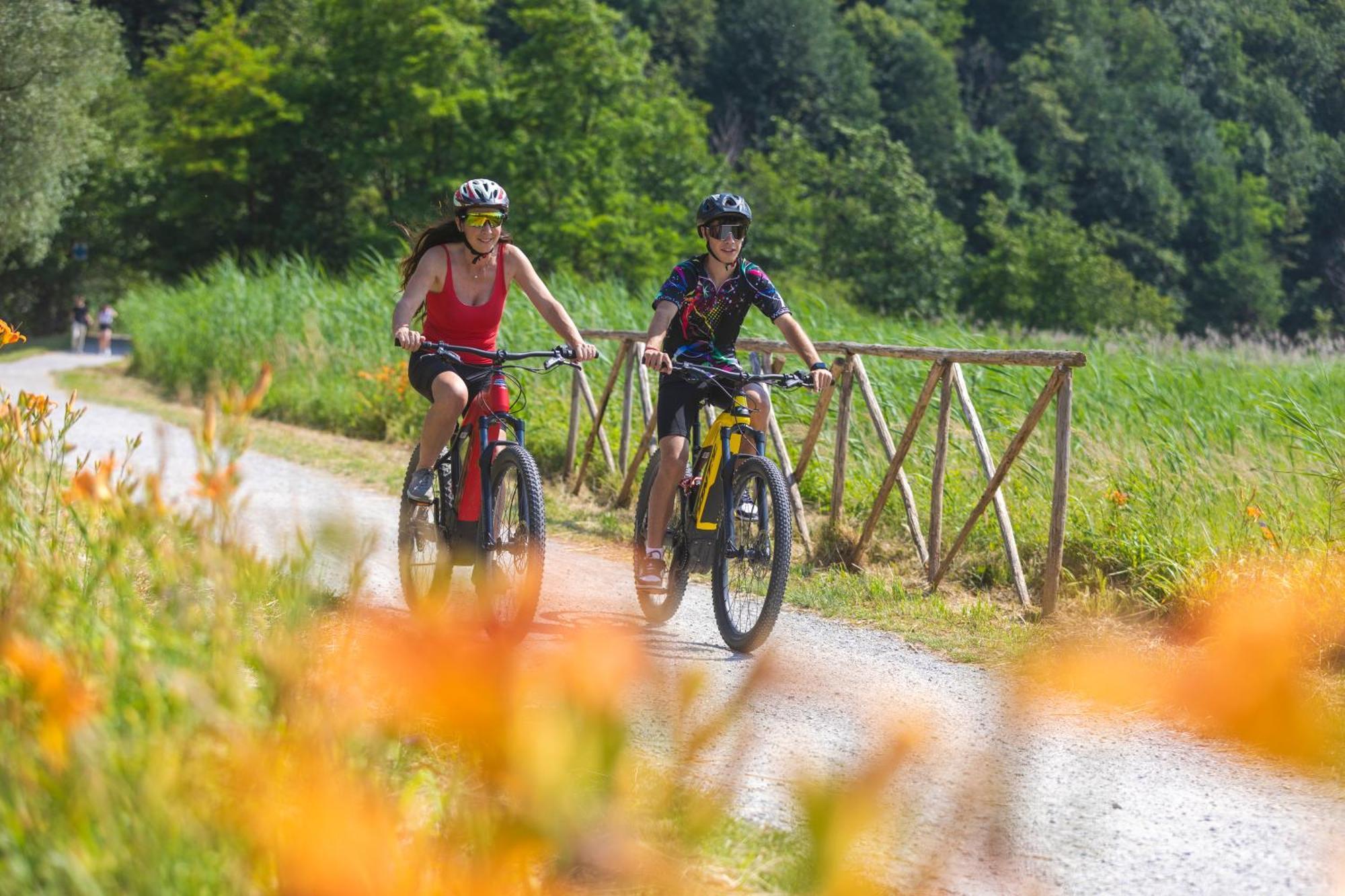 Villa Iris -Pet Friendly Stay - Garden - Private Parking- Bike Friendly Holiday House Colico Buitenkant foto