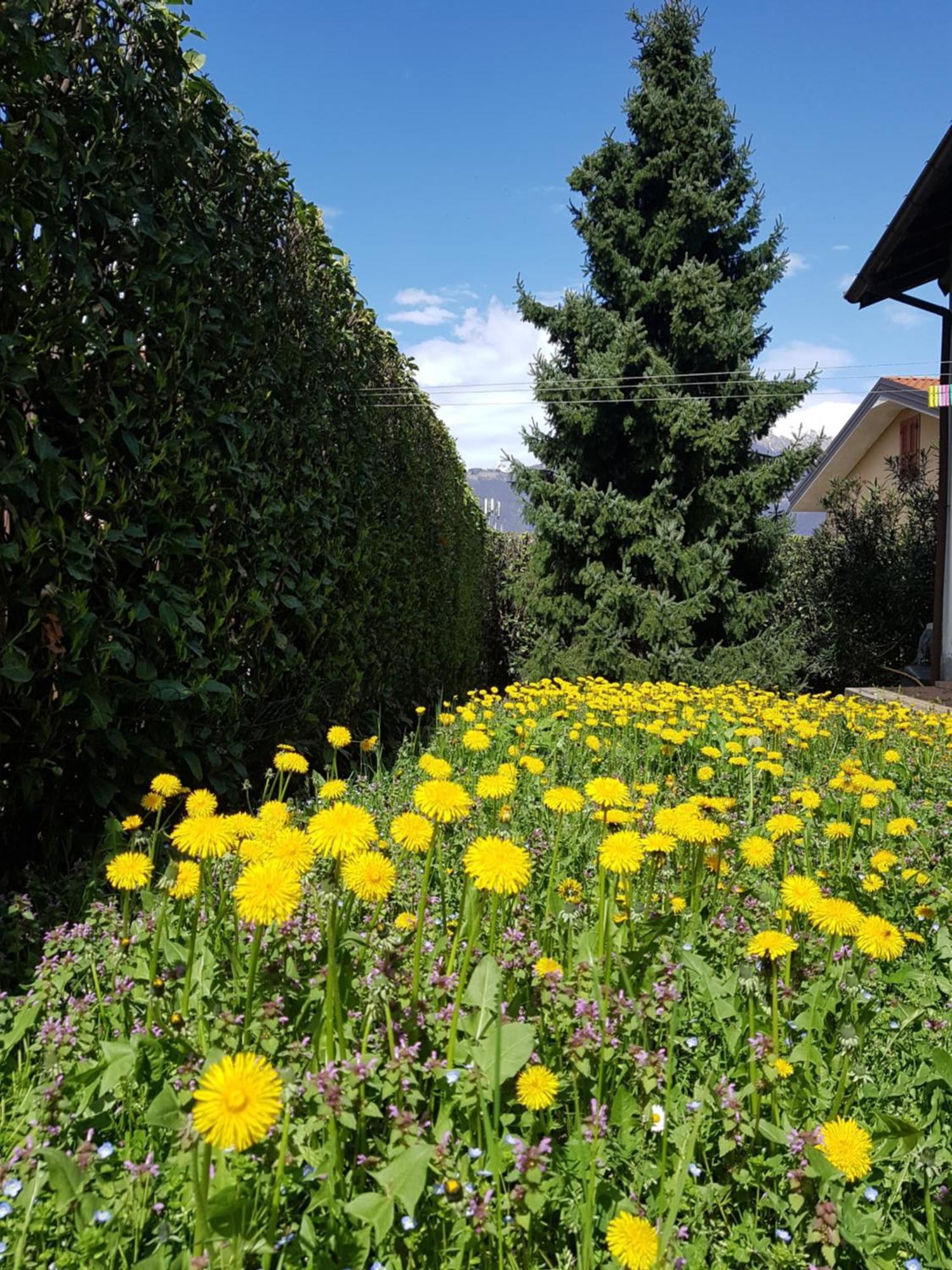 Villa Iris -Pet Friendly Stay - Garden - Private Parking- Bike Friendly Holiday House Colico Buitenkant foto